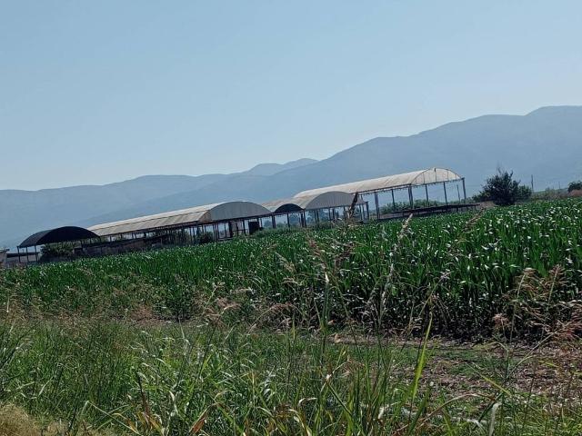 Terreno in vendita a Pontinia, Lazio