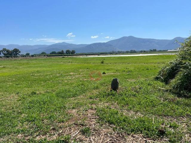 Terreno in vendita a Pontinia, Lazio