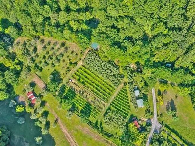 Terreno in vendita a Arzengio, Pontremoli