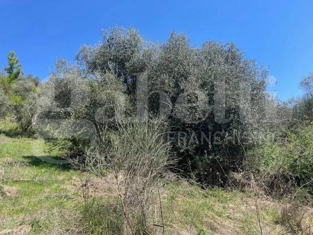 Terreno in vendita a Roma Capitale, Lazio