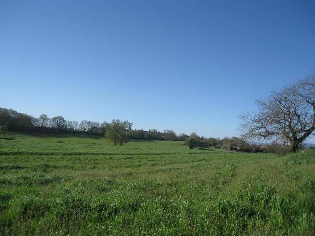 Terreno in vendita a Porano, Umbria