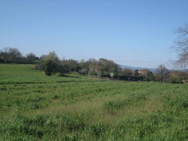 Terreno in vendita a Porano, Umbria
