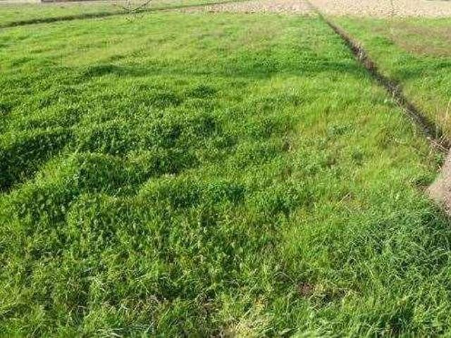 Terreno in vendita a Porcari, Lucca