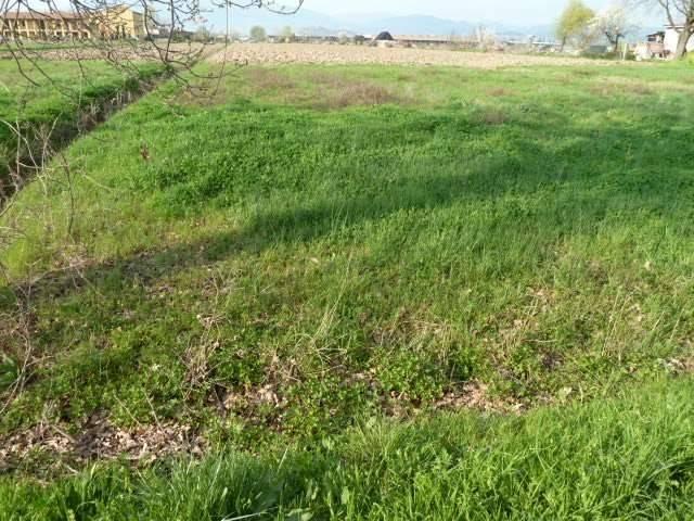 Terreno in vendita a Porcari, Toscana