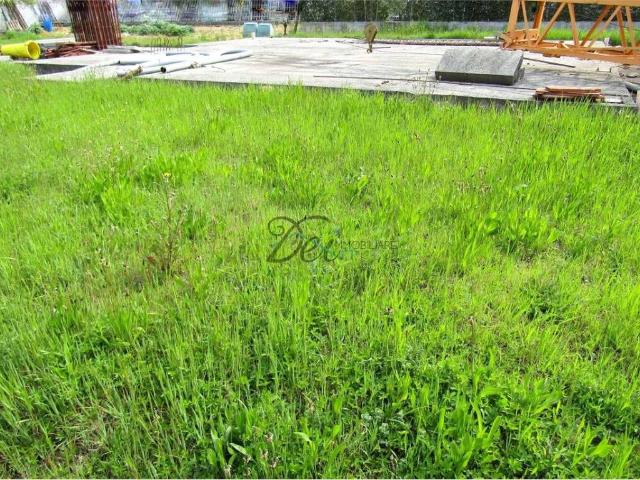 Terreno in vendita a Rughi, Porcari