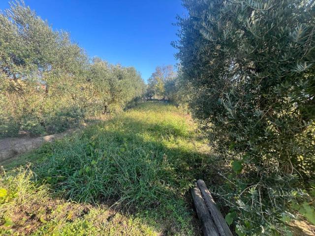 Terreno in vendita a Porcari, Toscana