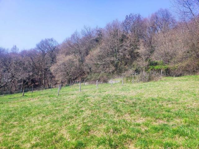 Terreno in vendita a Tavordo, Porlezza