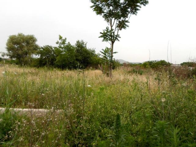 Terreno in vendita a Portico Di Caserta, Campania