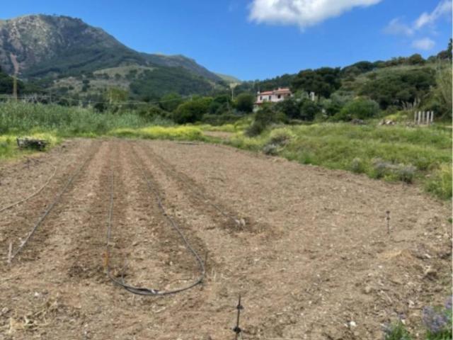 Terreno in vendita a Porto Azzurro, Toscana