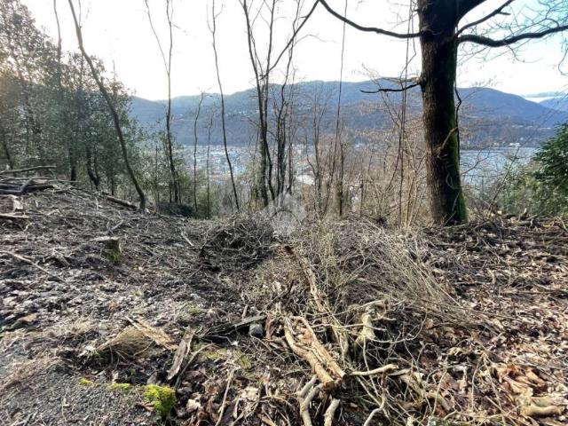 Terreno in vendita a Comunità Montana del Piambello, Porto Ceresio