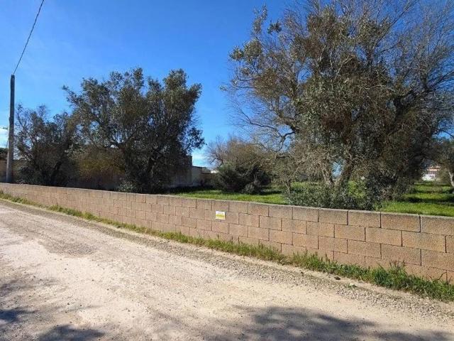 Terreno in vendita a Poggio Bellanova, Puglia