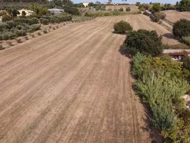 Terreno in vendita a Zona Montarice, Marche
