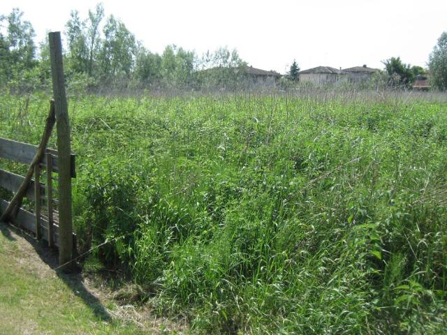 Terreno in vendita a Contarina, Porto Viro