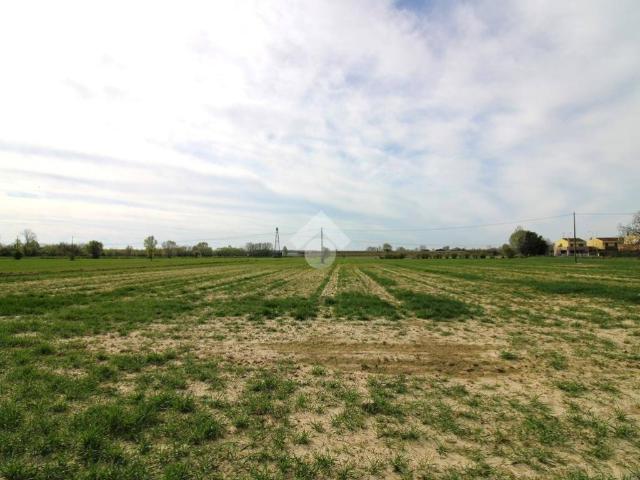 Terreno in vendita a Portogruaro, Veneto
