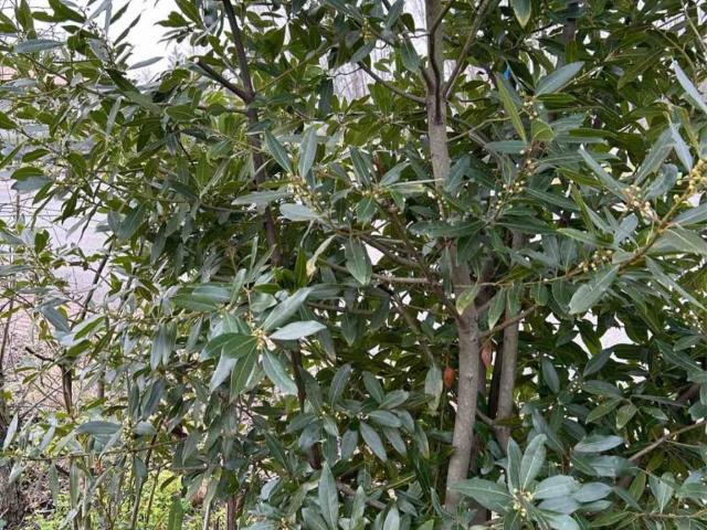 Terreno in vendita a Rione San Nicolò, Portogruaro