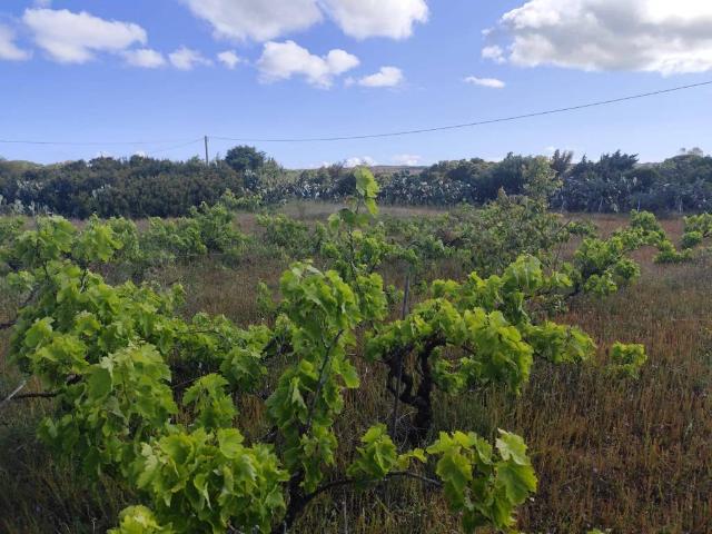 Terreno in vendita a Portoscuso, Sardigna/Sardegna