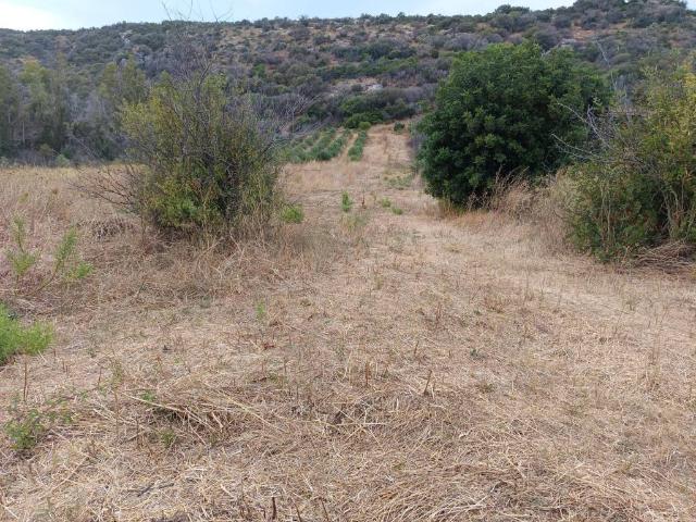Terreno in vendita a Posada, Sardigna/Sardegna