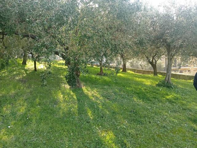 Terreno in vendita a Contrada Tergi, Marche