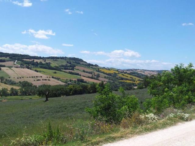 Terreno in vendita a Contrada Montecanepino, Marche