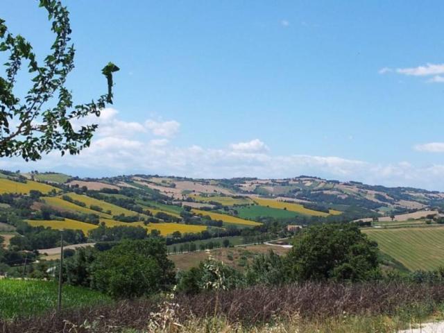 Terreno in vendita a Contrada Montecanepino, Marche