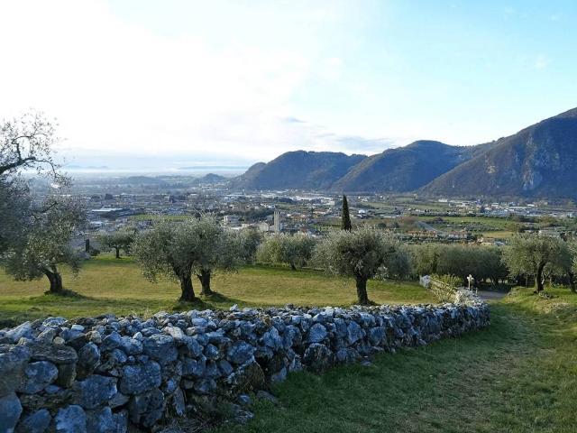 Terreno in vendita a Pove Del Grappa, Veneto