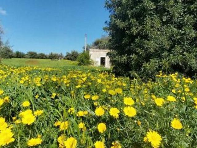Terreno in vendita a Pozzallo, Sicilia