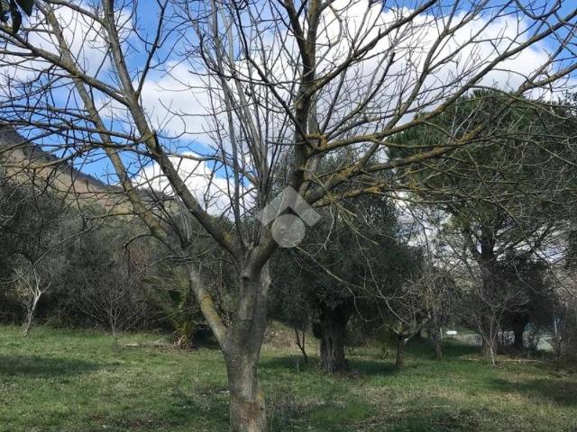 Terreno in vendita a Pozzilli, Molise