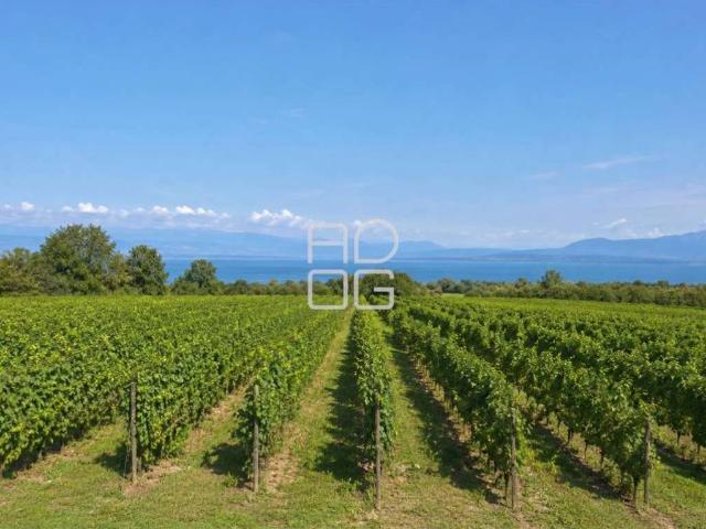 Terreno in vendita a Pozzolengo, Lombardia