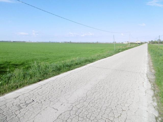 Terreno in vendita a Pozzonovo, Veneto