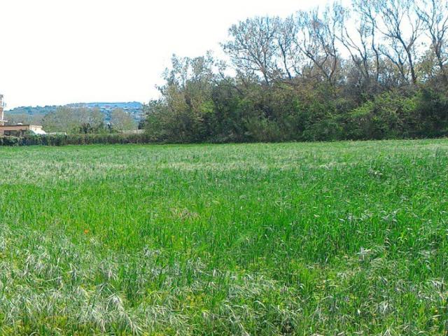 Terreno in vendita a Pozzuoli, Campania