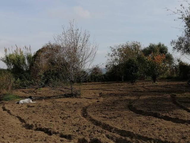 Terreno in vendita a Pozzuoli, Campania