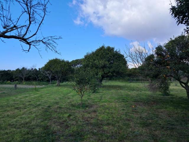 Terreno in vendita a Pozzuoli, Campania