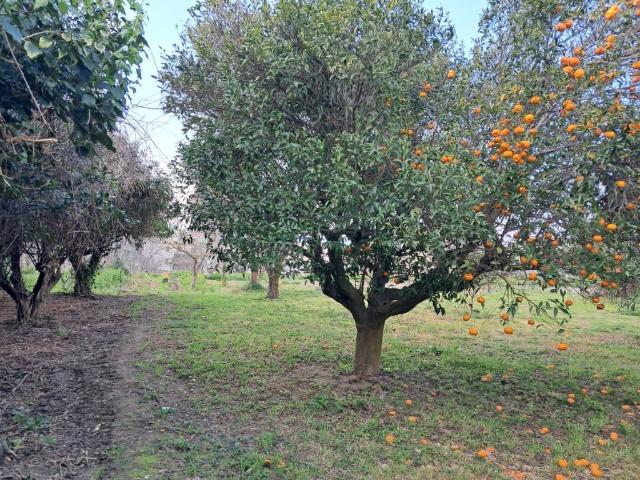 Terreno in vendita a Pozzuoli, Campania