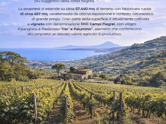 Terreno in vendita a Pozzuoli, Campania