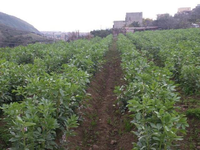 Terreno in vendita a Pozzuoli, Campania