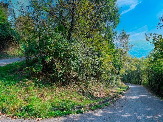 Terreno in vendita a Pradalunga, Lombardia