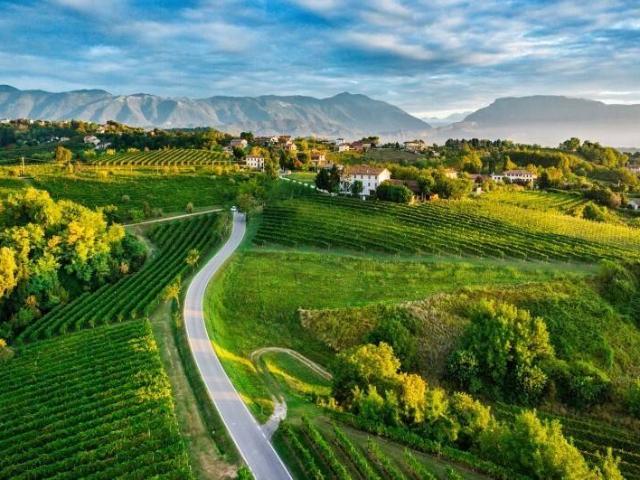 Terreno in vendita a Pradamano, Friuli-Venezia Giulia