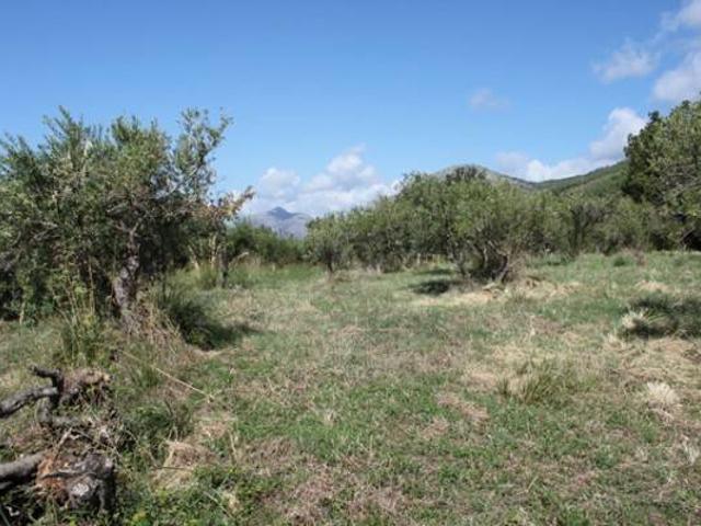Terreno in vendita a Foresta, Calabria
