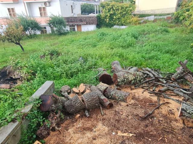 Terreno in vendita a Foresta, Calabria