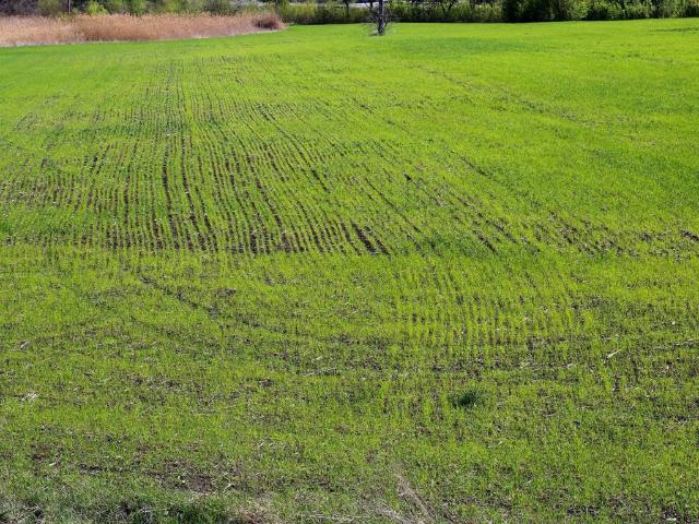 Terreno in vendita a Pralboino, Lombardia