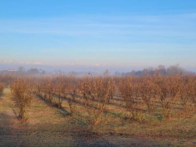Terreno in vendita a Piemonte, Torino