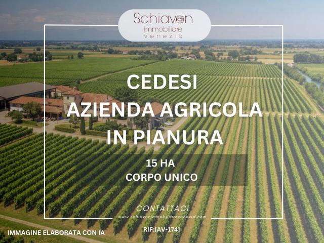 Terreno in vendita a Pramaggiore, Veneto