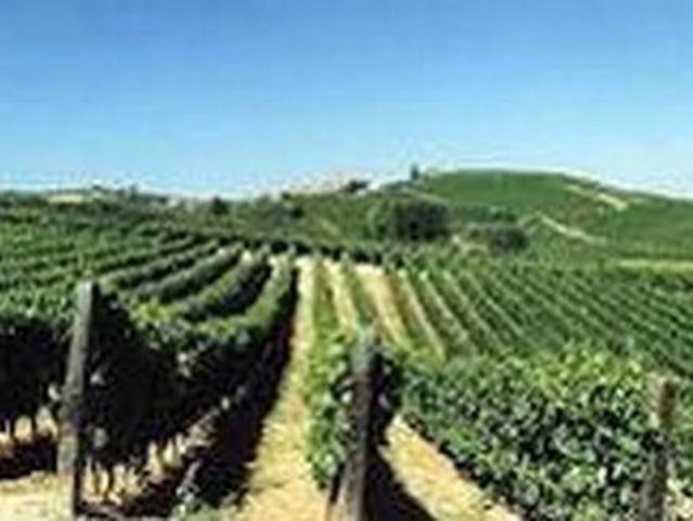 Terreno in vendita a Prata Di Pordenone, Friuli-Venezia Giulia
