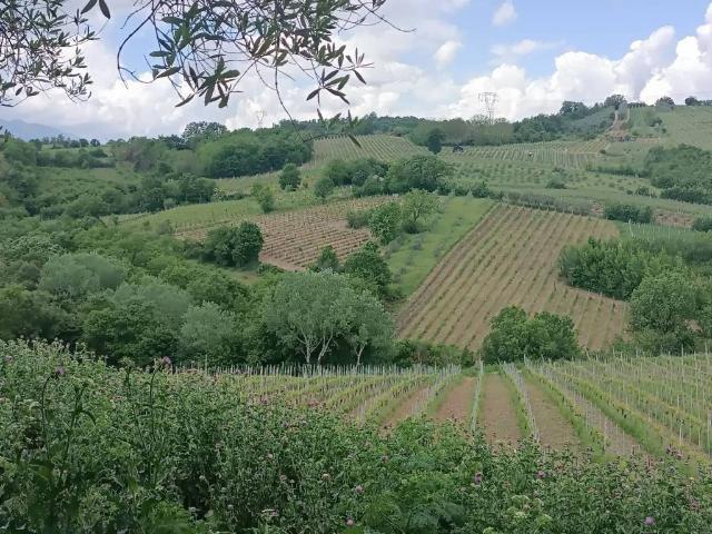 Terreno in vendita a Tavernanova, Campania