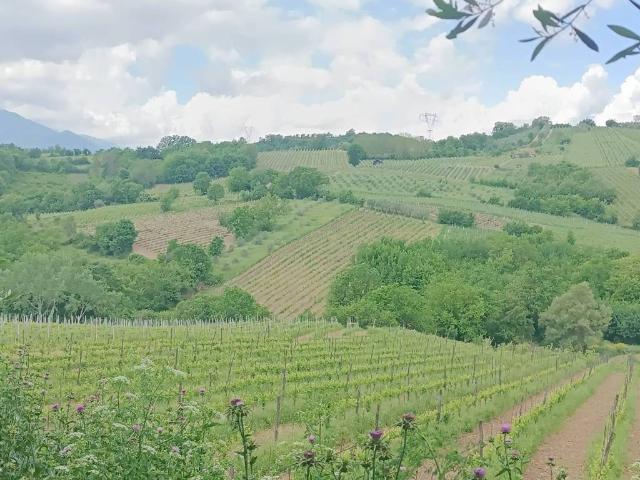 Terreno in vendita a Tavernanova, Campania