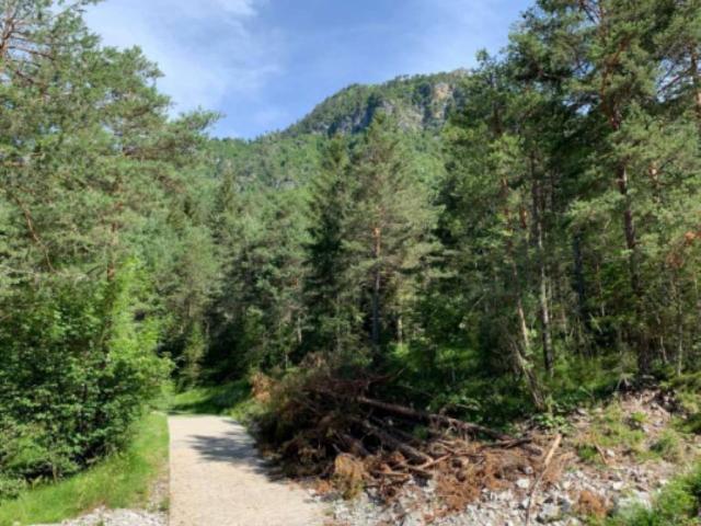 Terreno in vendita a Prato Carnico, Friuli-Venezia Giulia