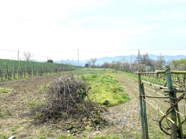 Terreno in vendita a Prato, Toscana