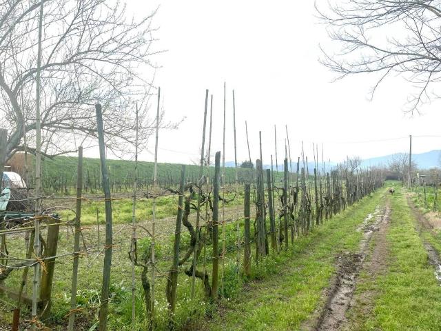 Terreno in vendita a Prato, Toscana