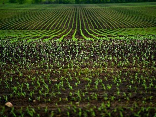 Terreno in vendita a Prato, Galciana