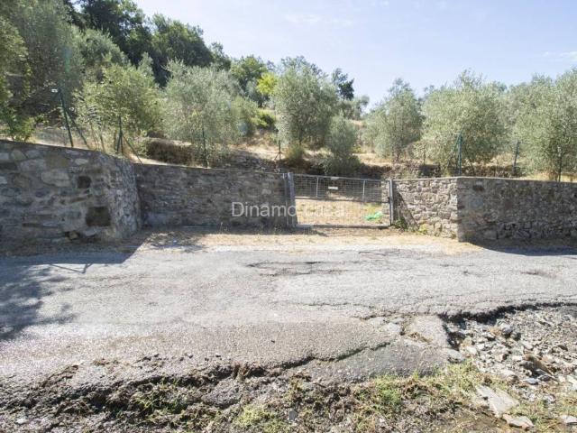 Terreno in vendita a Prato, Toscana